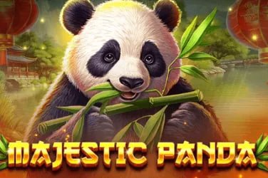 xin1